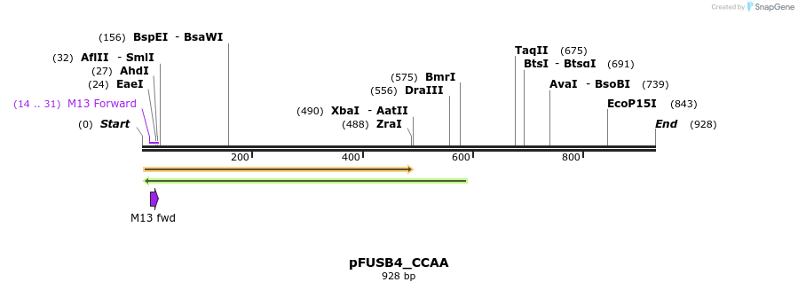 73062_map