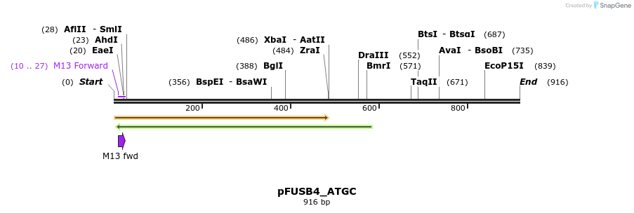 73065_map