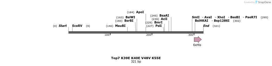 7307_map