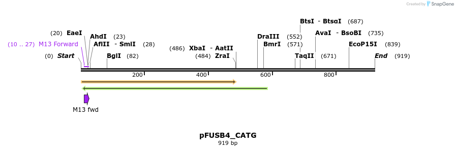 73070_map