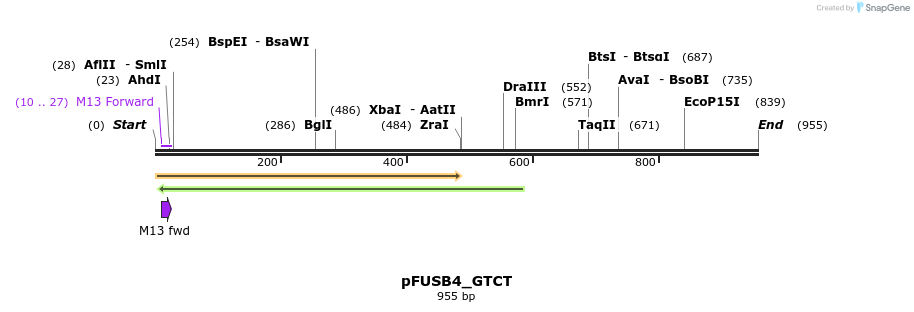 73072_map