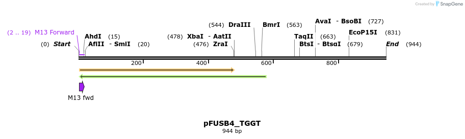73073_map