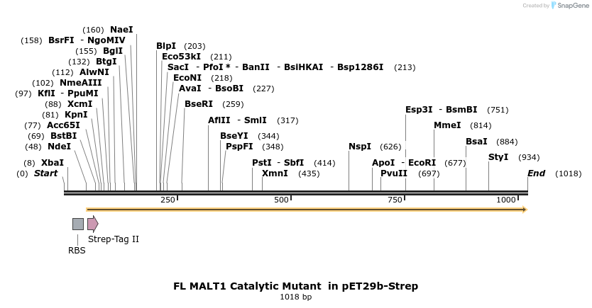 73079_map