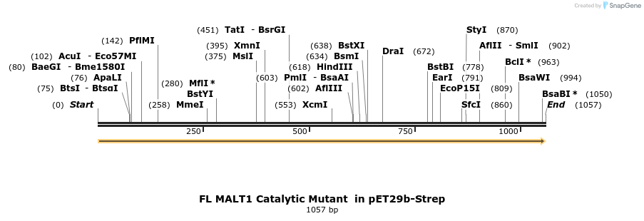73080_map