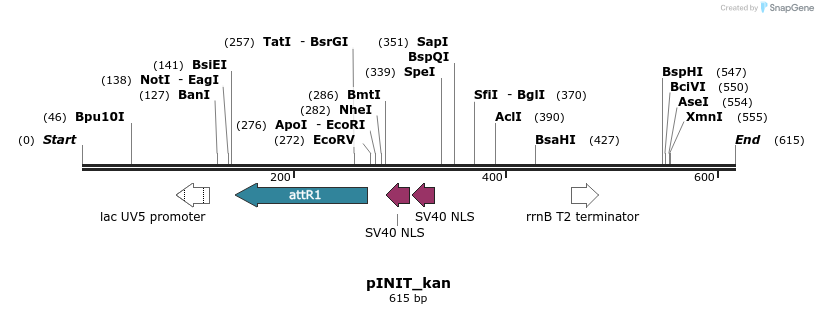 73081_map