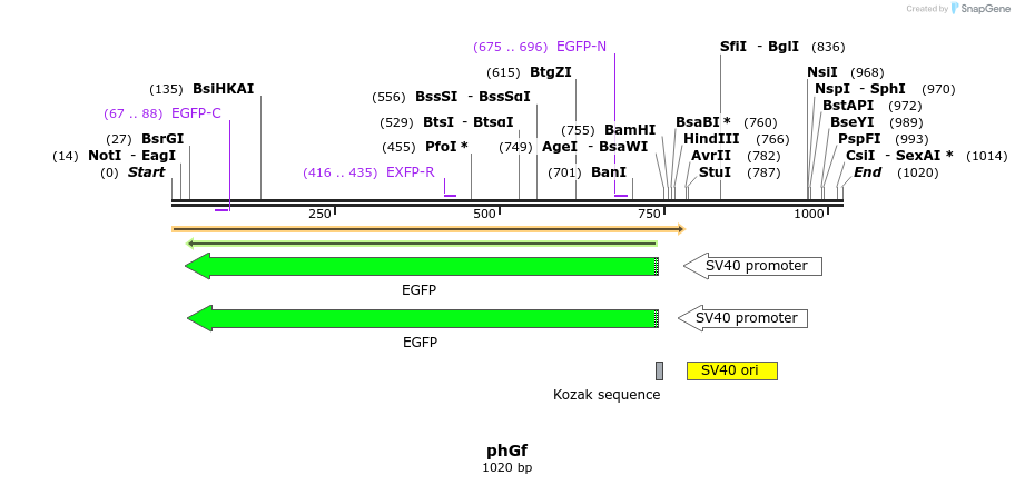 73087_map