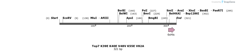 7309_map
