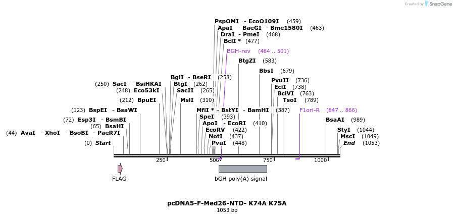 73091_map