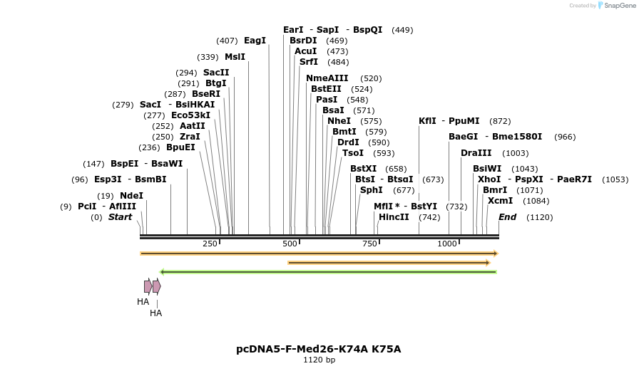 73092_map