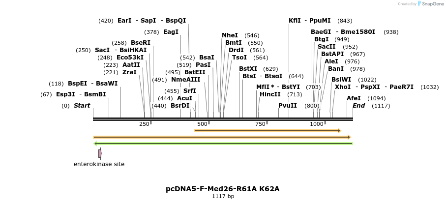73093_map
