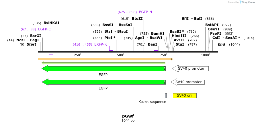 73096_map
