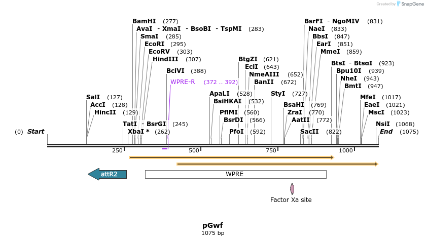 73097_map