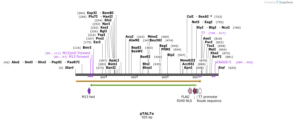 73098_map