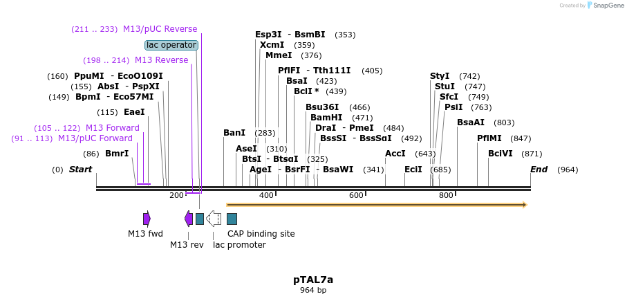73099_map