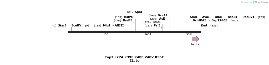 7311_map