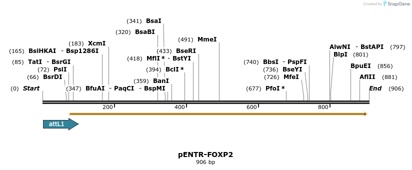 73114_map