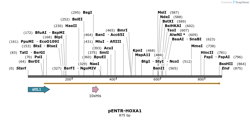 73116_map