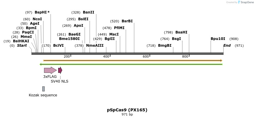 73124_map