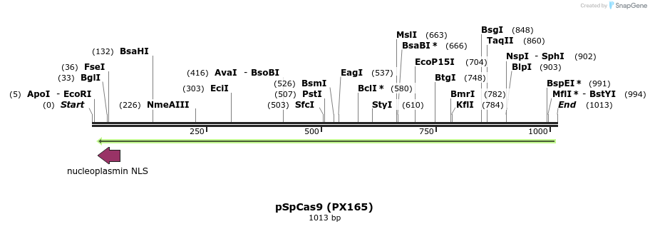 73125_map