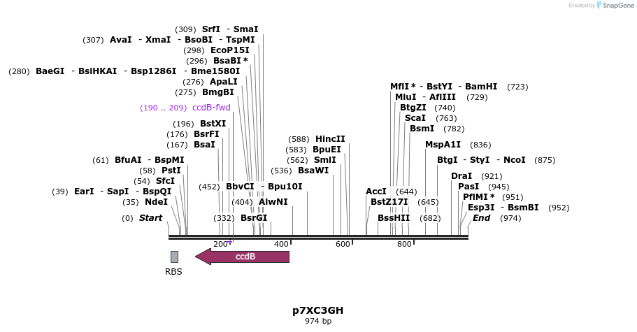73128_map
