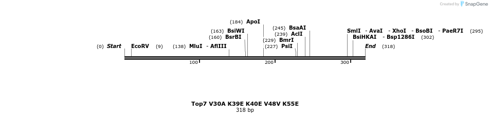 7313_map