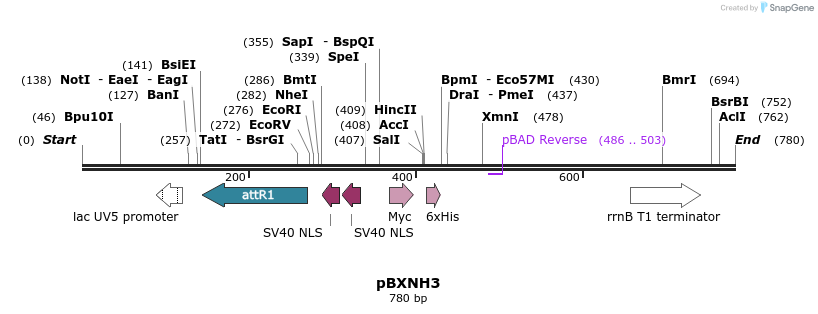73130_map