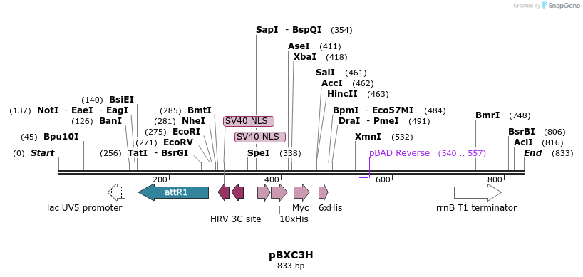 73132_map