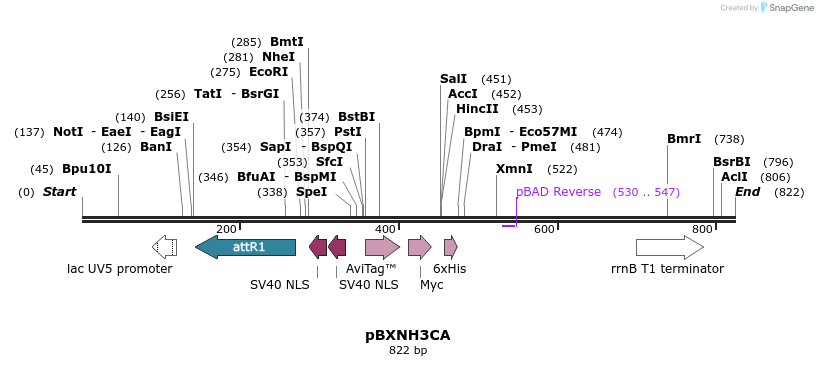 73134_map