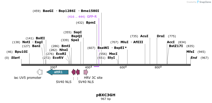 73136_map