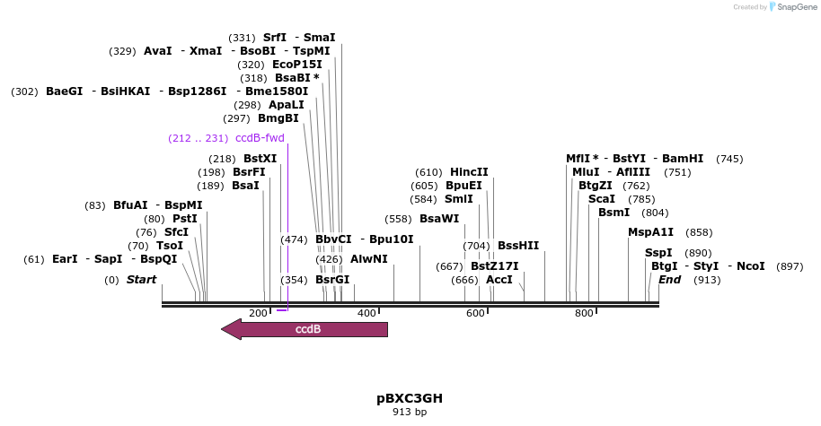73137_map