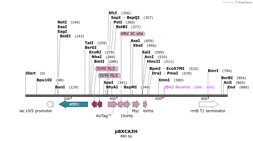 73140_map