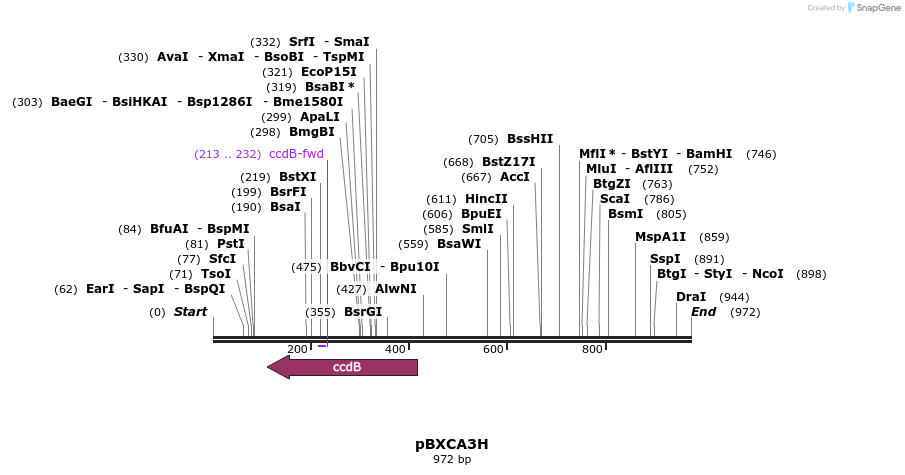 73141_map