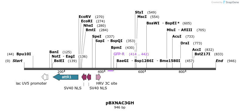 73142_map