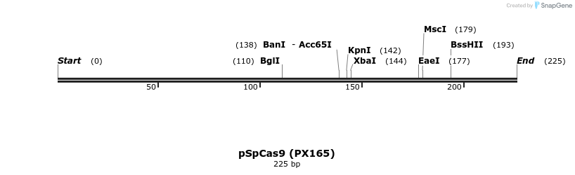 73143_map