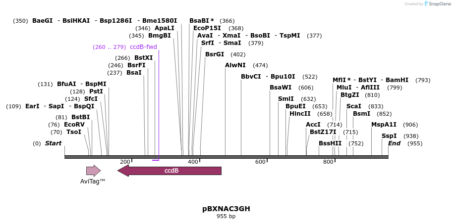 73144_map