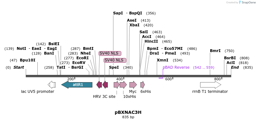 73145_map