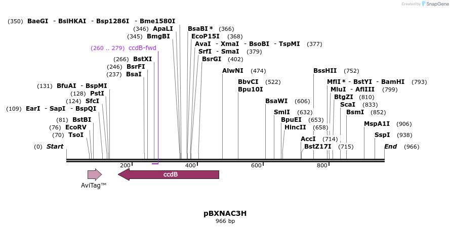 73146_map