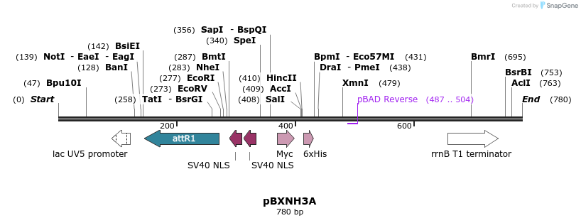 73147_map