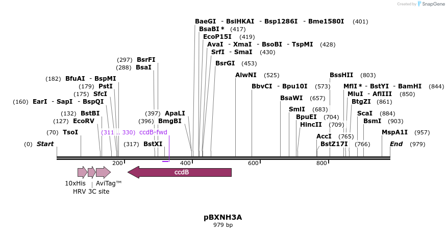 73149_map