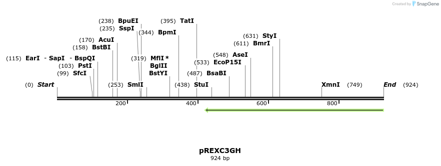 73151_map
