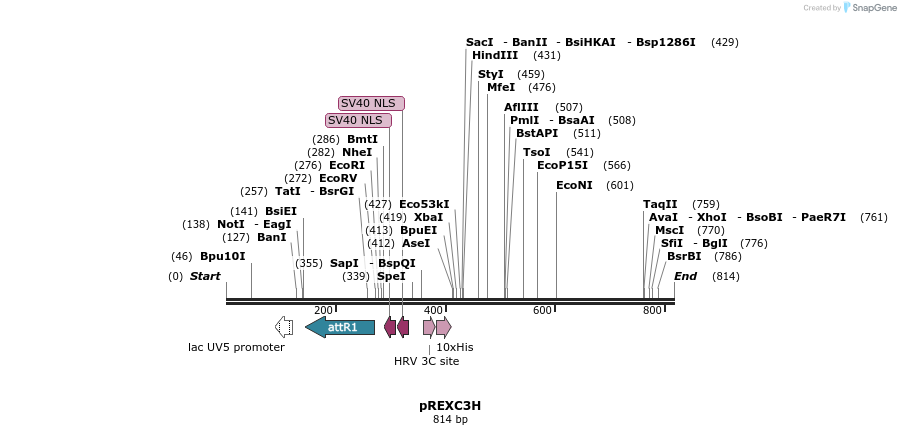 73153_map