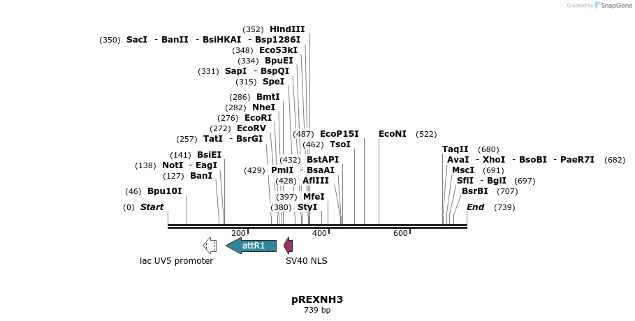 73157_map