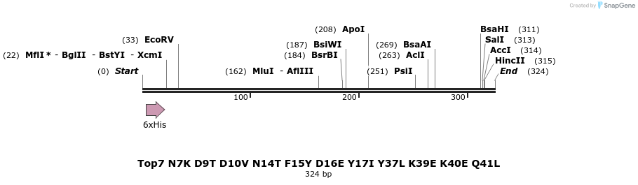 7316_map