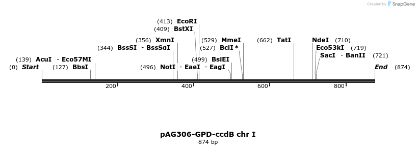 73162_map
