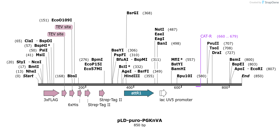 73168_map