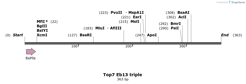 7317_map