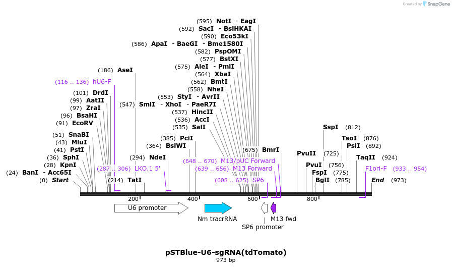 73170_map