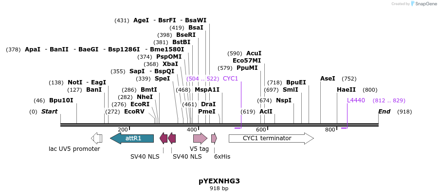 73171_map
