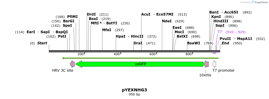 73172_map