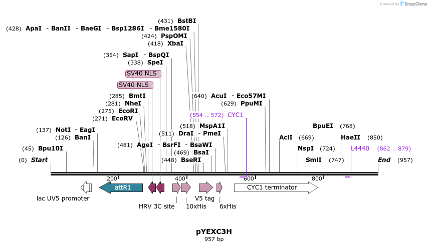 73173_map